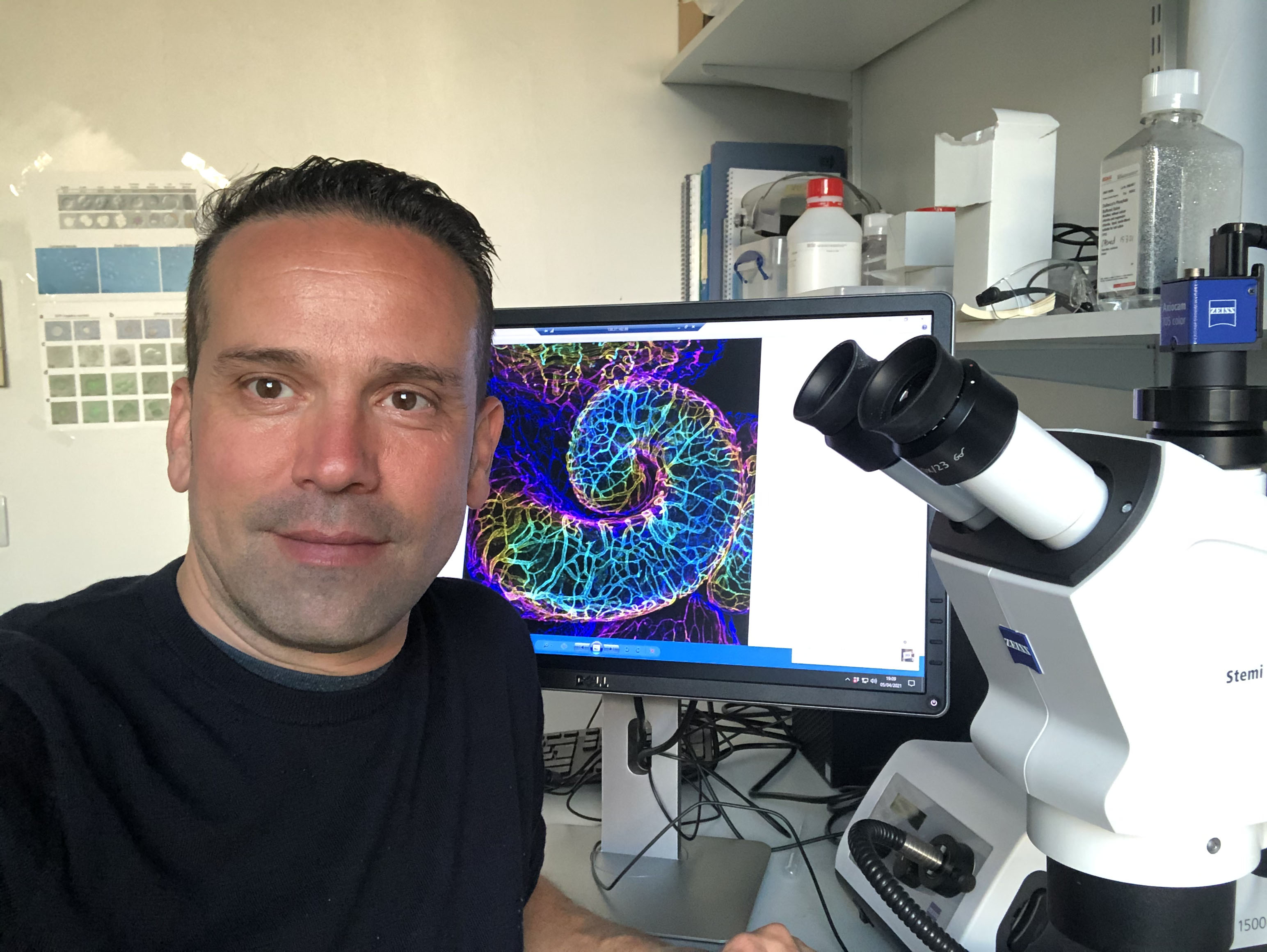 Carles Gaston-Massuet